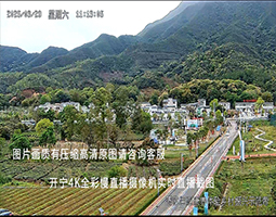 开宁4K慢直播聚焦温厝村：云端镜头绘就大湾区乡村振兴新图景